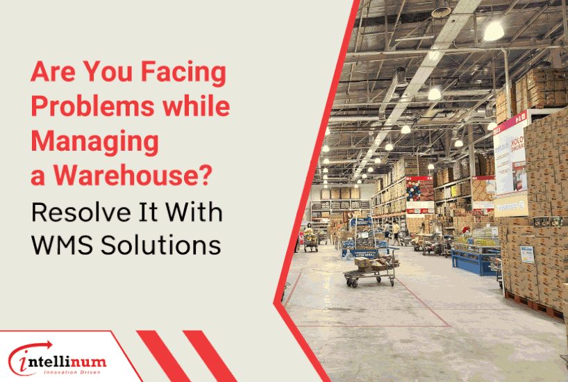 Are-you-Facing-Probems-while-Managing-a-Warehouse-Resolve-it-with-WMS-solutions new 1